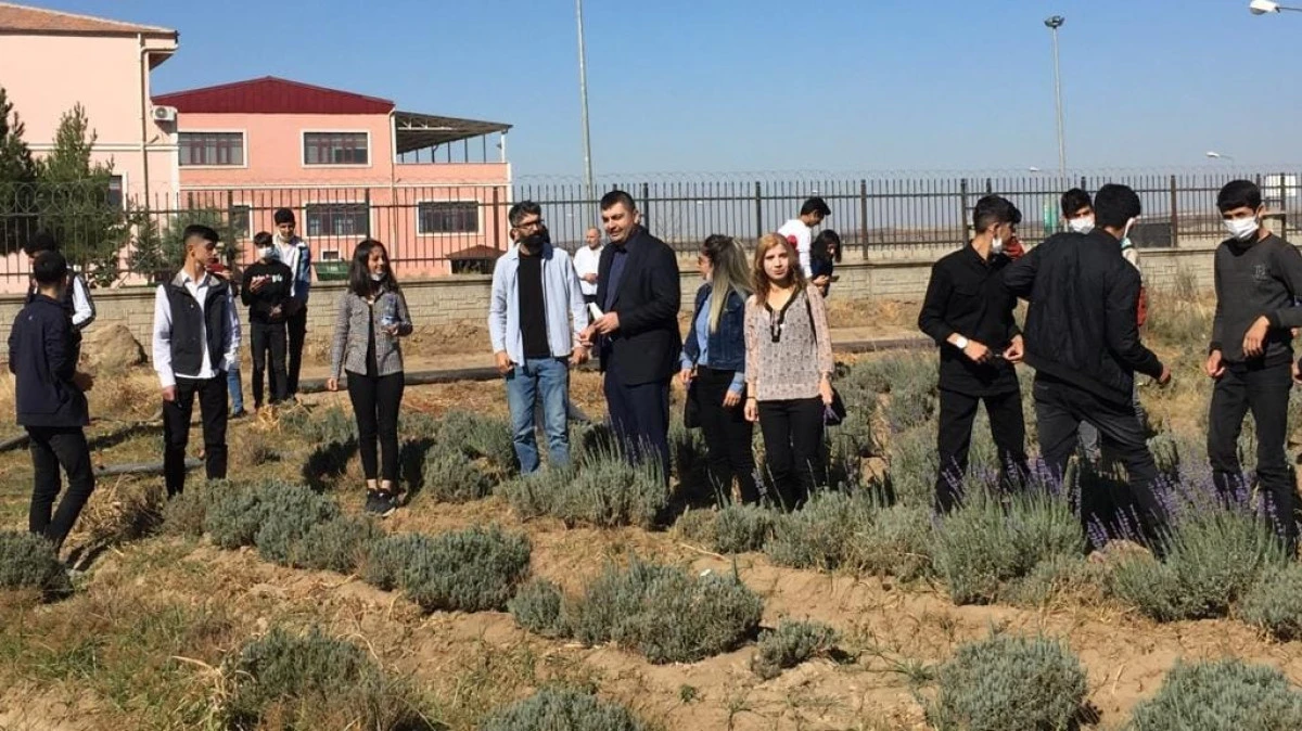 Dicle &Uuml;niversitesi&rsquo;nden B&ouml;lge Tarımına Bilimsel Destek  Tarımın Kalbi Bismil'den Renkli G&ouml;r&uuml;nt&uuml;ler 