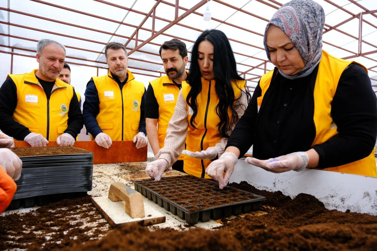 İPEKYOLU BELEDİYESİ FİDE EKİM &Ccedil;ALIŞMALARINA BAŞLADI