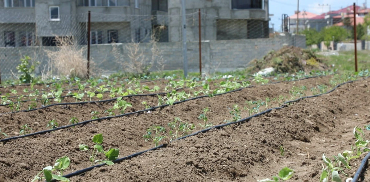 TOPRAĞIN BEREKETİ KADIN EMEĞİYLE BULUŞTU: TUŞBA'DA KOLEKTİF &Uuml;RETİM ZAMANI