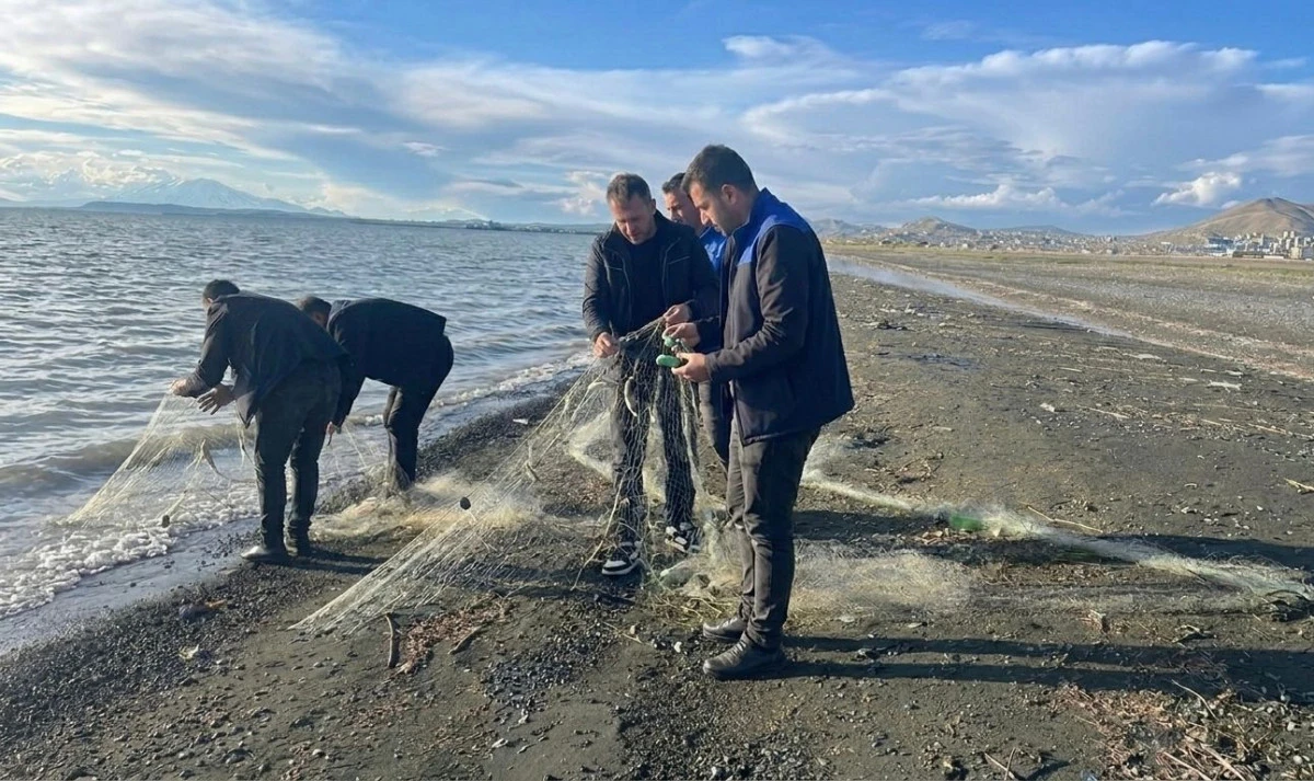 Tuşba Belediyesi 300 kilo inci kefalini doğal yaşam alanına bıraktı