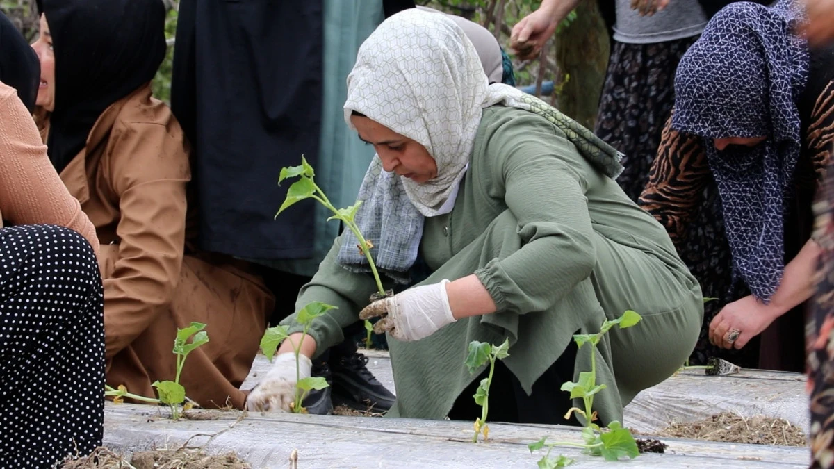 VAN EDREMİT BELEDİYESİ'NİN "KADIN KOM&Uuml;N BOSTANLARI" PROJESİ B&Uuml;Y&Uuml;YOR: YENİ SEZONUN İLK FİDELERİ TOPRAKLA BULUŞTU